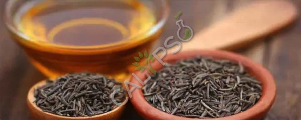 Aceite de especias de semillas de alcaravea